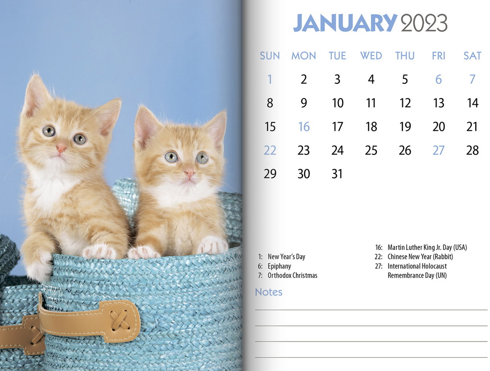 Kittens 2023 7.5 x 6 Inch Monthly Double View Easel Desk Calendar