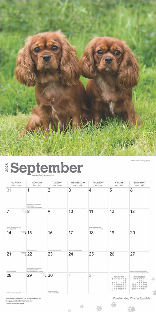 Cavalier King Charles Spaniels 2025 12 x 24 Inch Monthly Square Wall Calendar