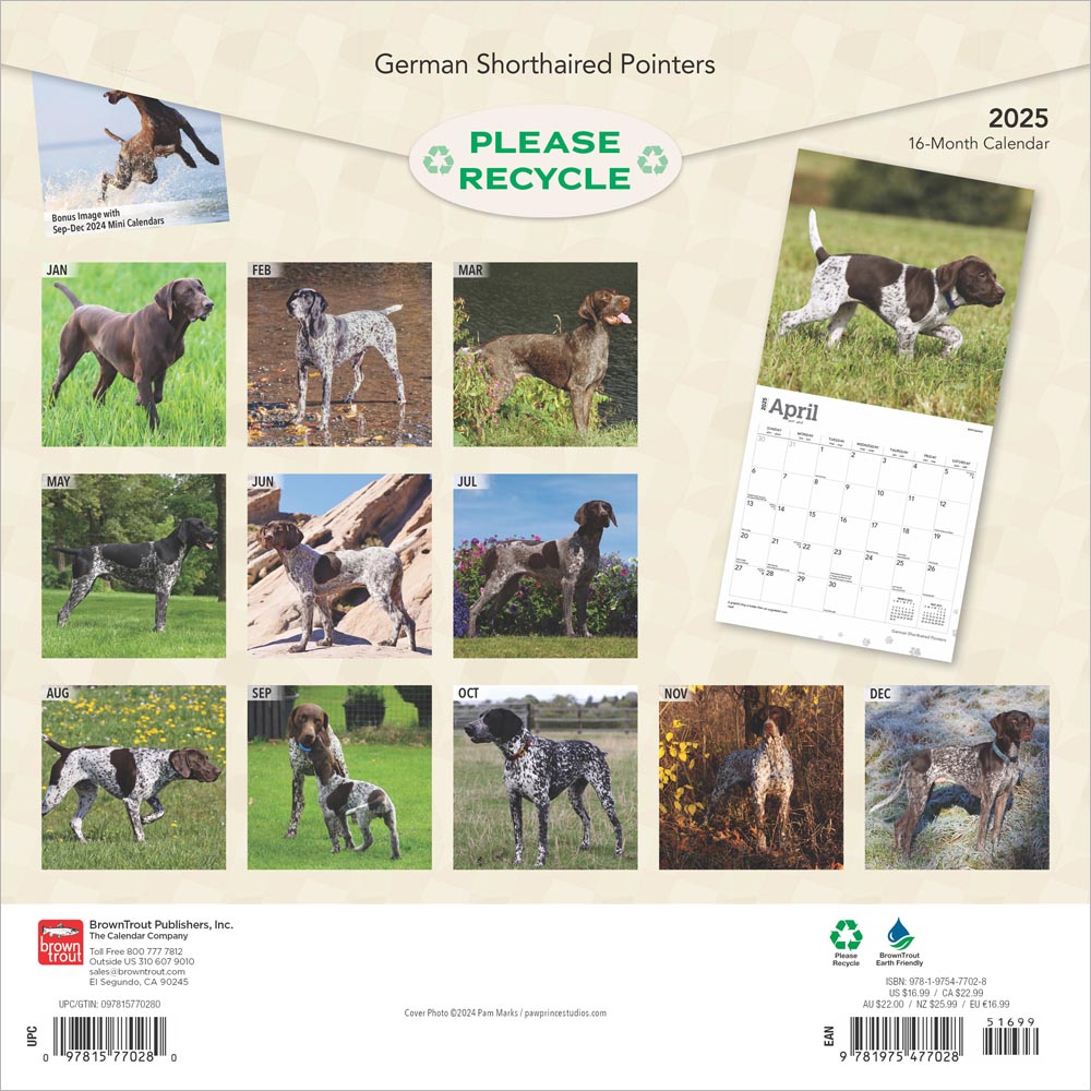 German Shorthaired Pointers 2025 12 x 24 Inch Monthly Square Wall