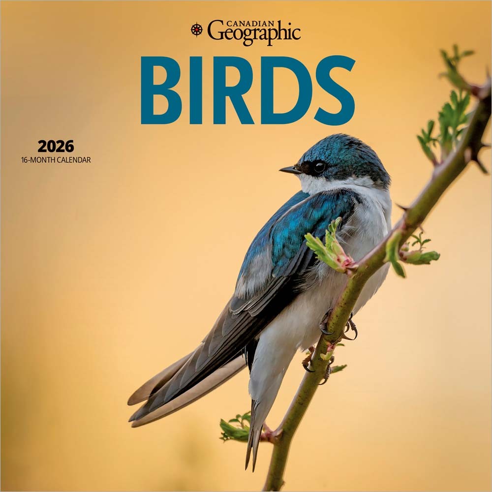Canadian Geographic Birds OFFICIAL | 2026 7 x 14 Inch (Hanging) Monthly Mini Wall Calendar