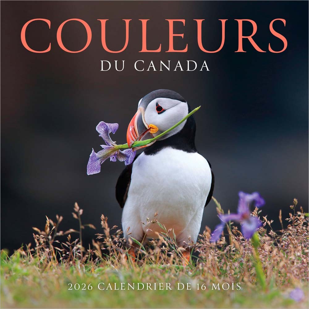 Couleurs du Canada | 2026 12 x 24 Inch (Hanging) Monthly Square Wall Calendar | French Language