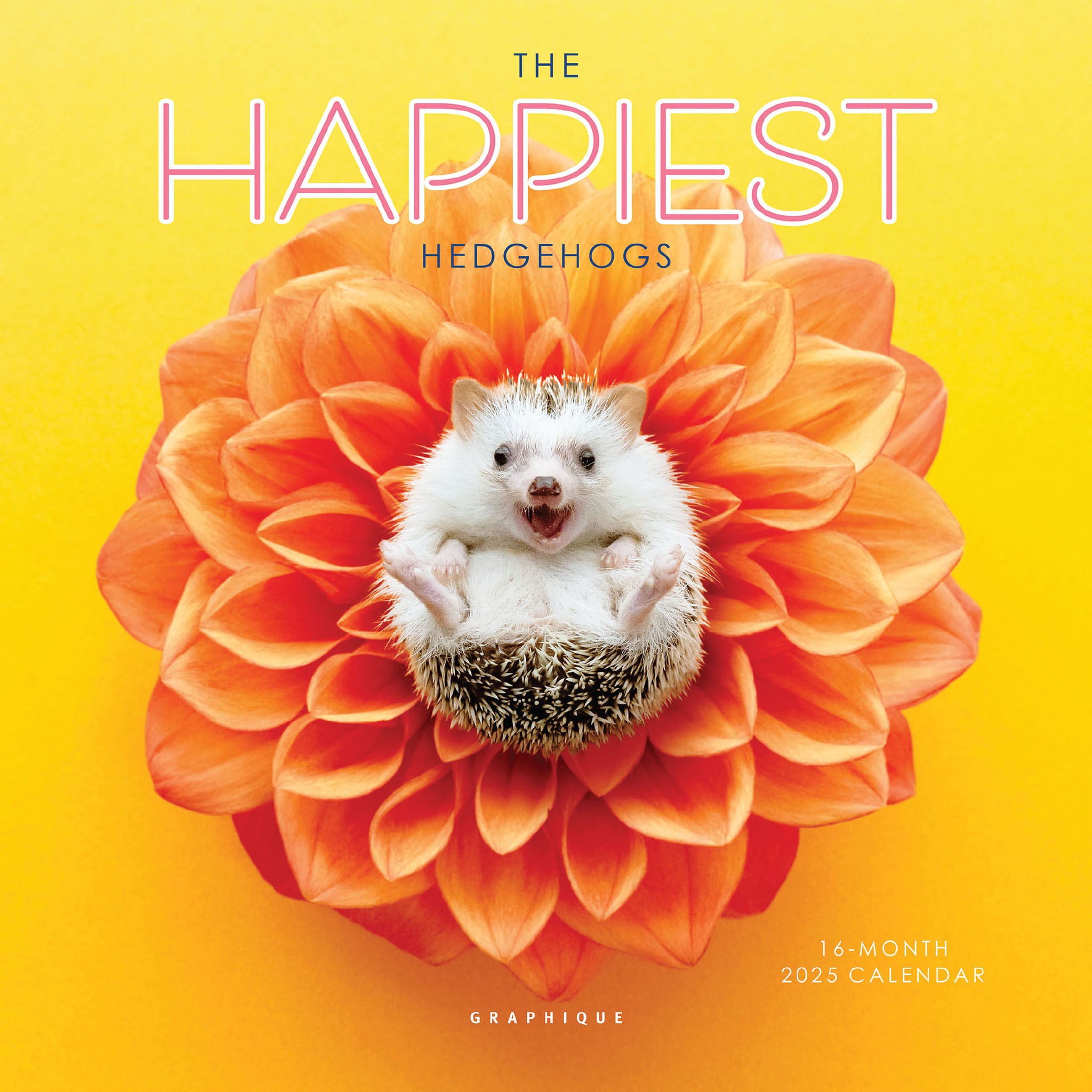 The Happiest Hedgehogs | 2025 7 x 14 Inch Monthly Mini Wall Calendar