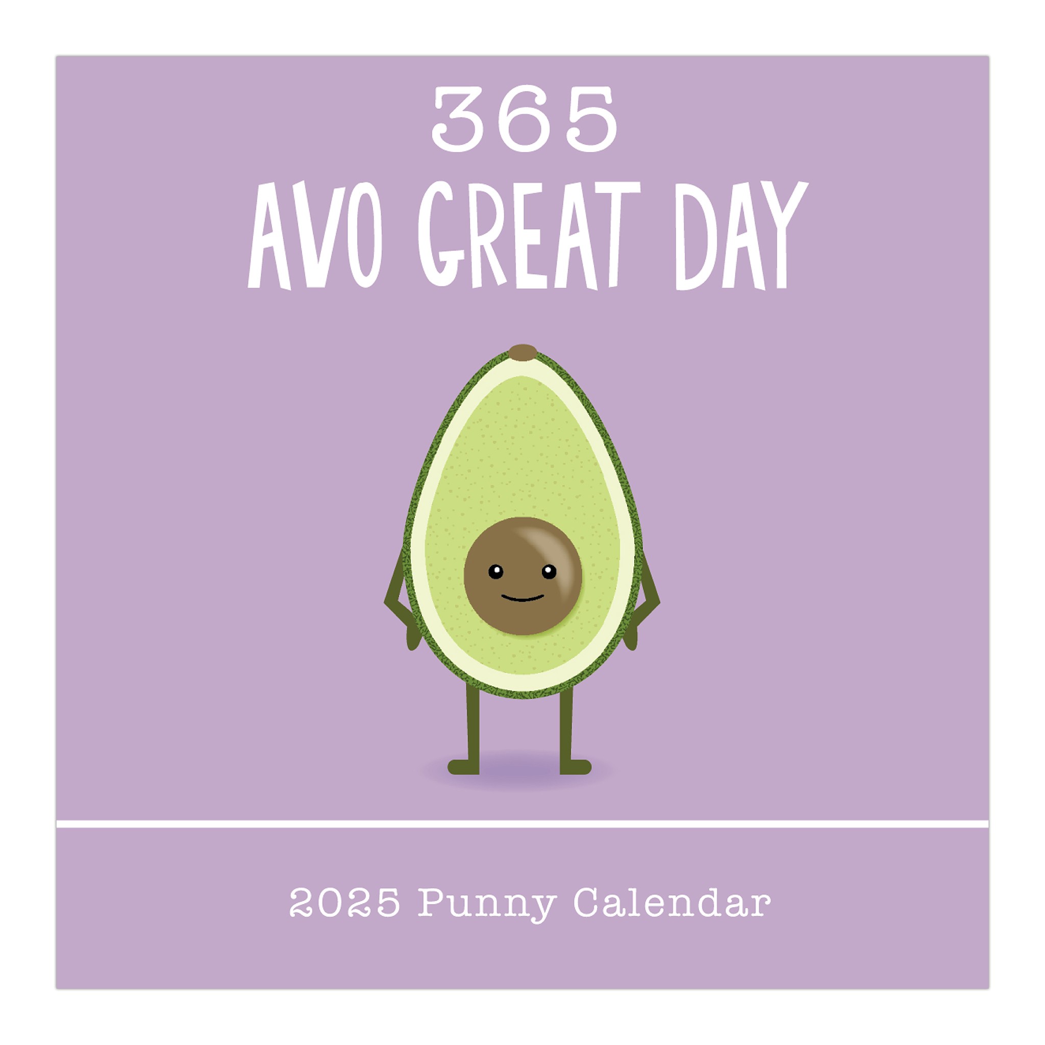 Punny | 2025 Desktop Box Calendar | New Page Every Day