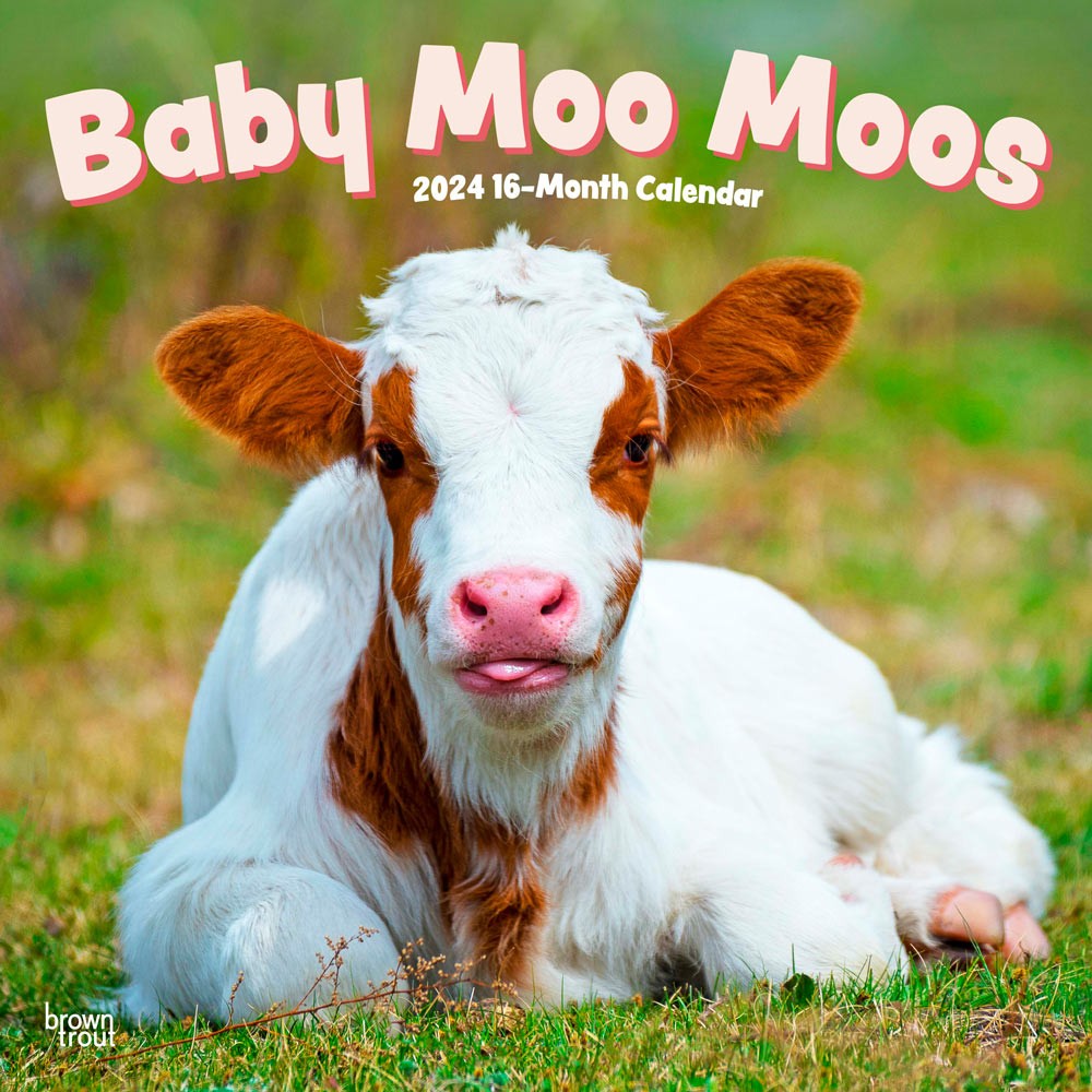 Baby Moo Moos | 2024 12 x 24 Inch Monthly Square Wall Calendar