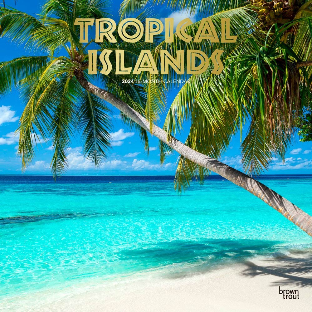 Tropical Islands | 2024 12 x 24 Inch Monthly Square Wall Calendar | Foil Stamped Cover