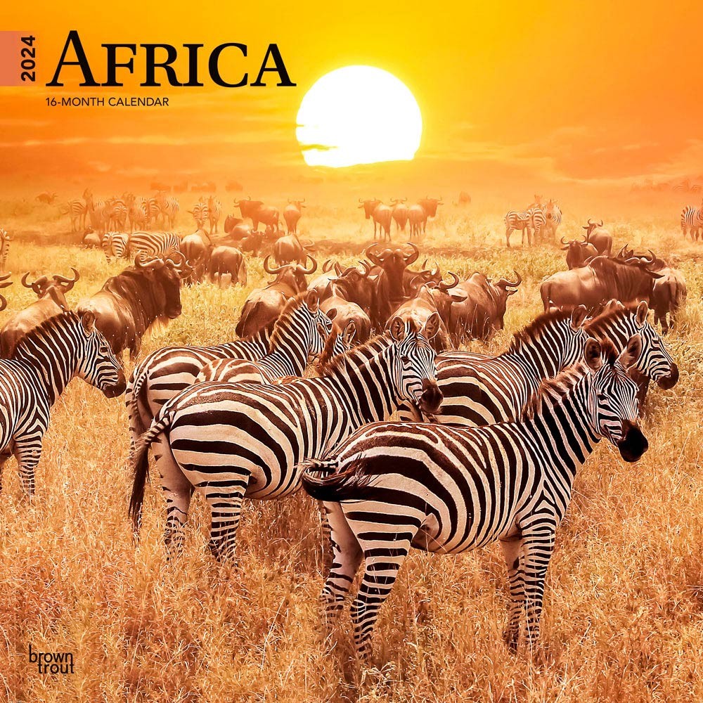 Africa | 2024 12 x 24 Inch Monthly Square Wall Calendar