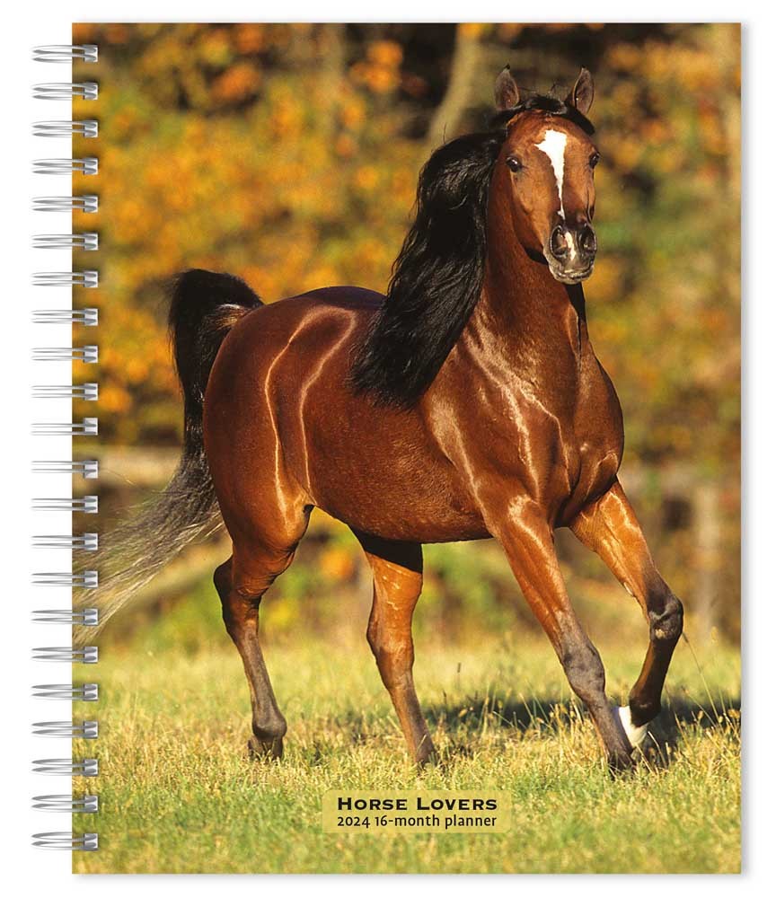 Horse Lovers | 2024 6 x 7.75 Inch Spiral-Bound Wire-O Weekly Engagement Planner Calendar | New Full-Color Image Every Week