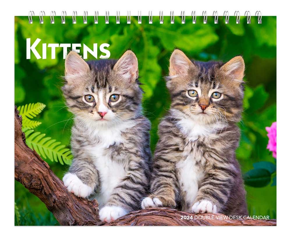 Kittens | 2024 7.5 x 6 Inch Monthly Double-View Easel Desk Calendar