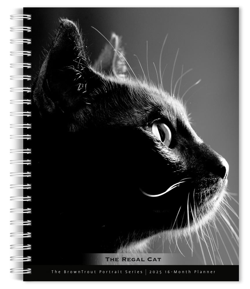 The BrownTrout Portrait Series: The Regal Cat | 2025 6 x 7.75 Inch Spiral-Bound Wire-O Weekly Engagement Planner Calendar | New Full-Color Image Every Week