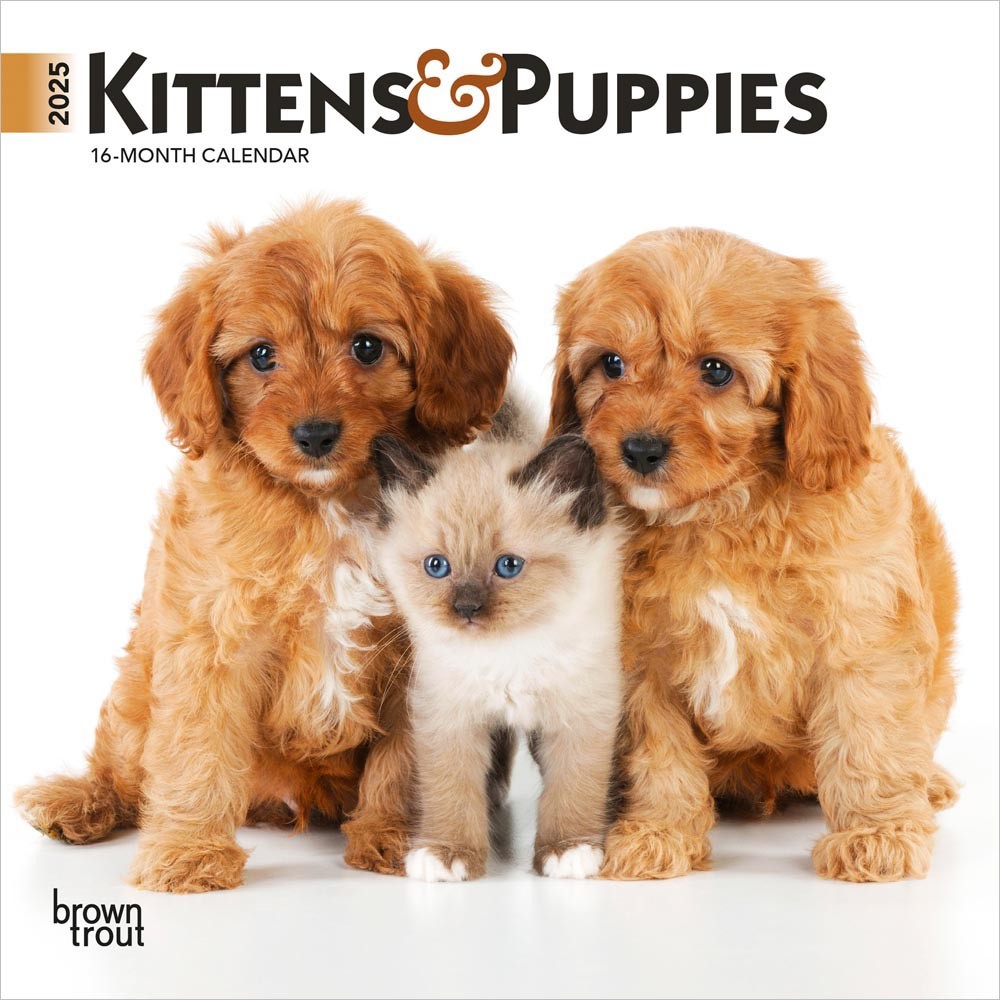 Kittens & Puppies | 2025 7 x 14 Inch Monthly Mini Wall Calendar