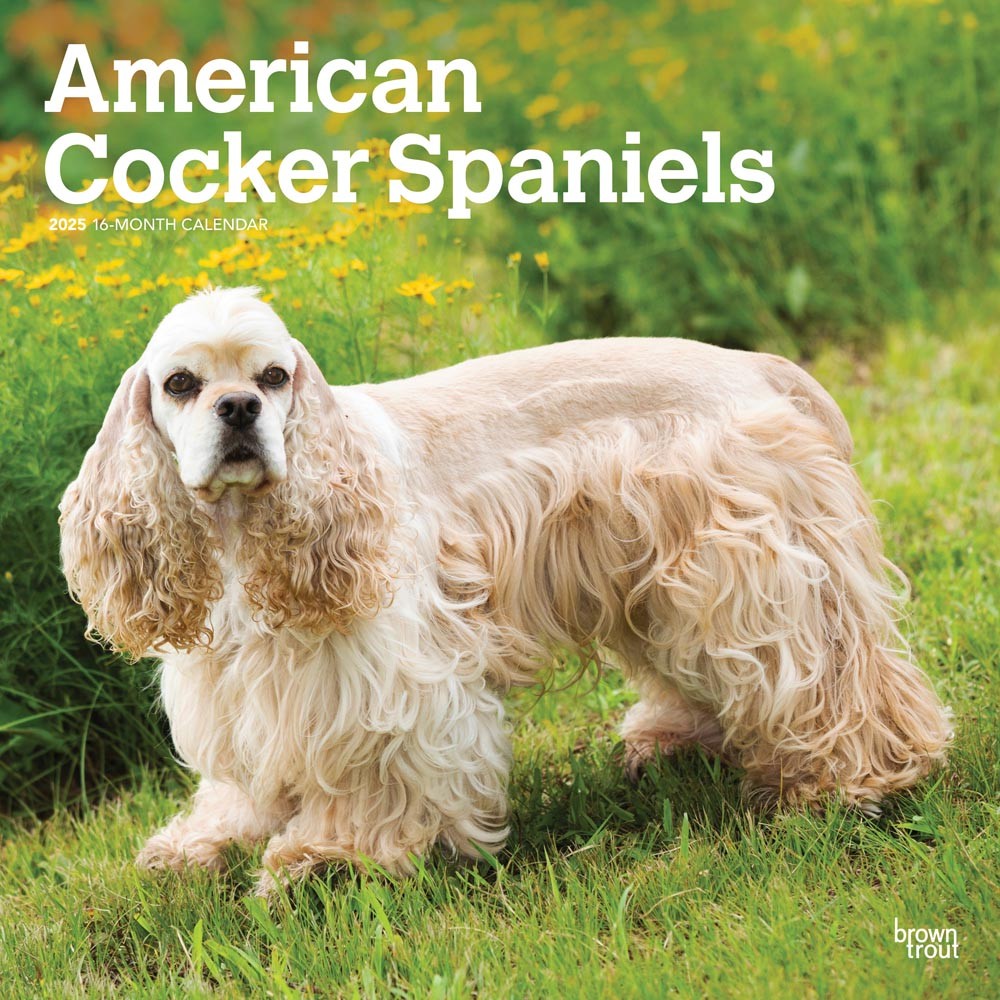American Cocker Spaniels 2025 12 x 24 Inch Monthly Square Wall Calendar