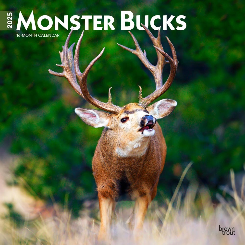 Monster Bucks | 2025 12 x 24 Inch Monthly Square Wall Calendar