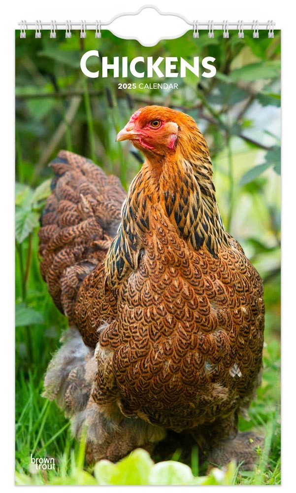 Chickens | 2025 5.7 X 16.5 Inch Monthly Slimline Wall Calendar