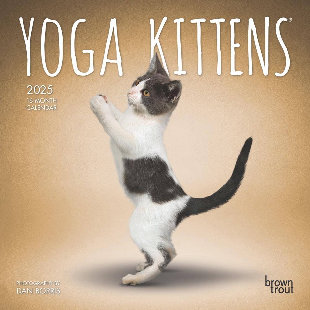 Yoga Kittens OFFICIAL | 2025 7 x 14 Inch Monthly Mini Wall Calendar