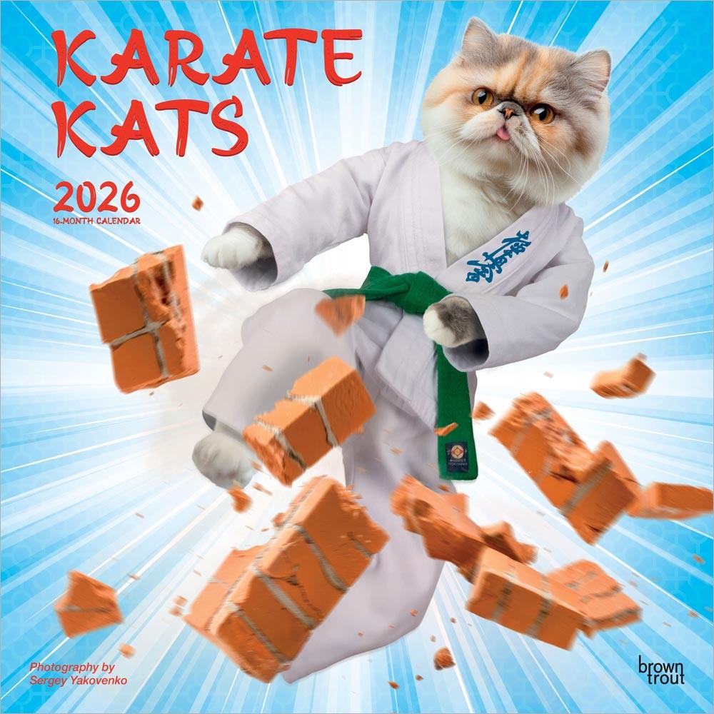 Karate Cats OFFICIAL | 2026 12 x 24 Inch (Hanging) Monthly Square Wall Calendar