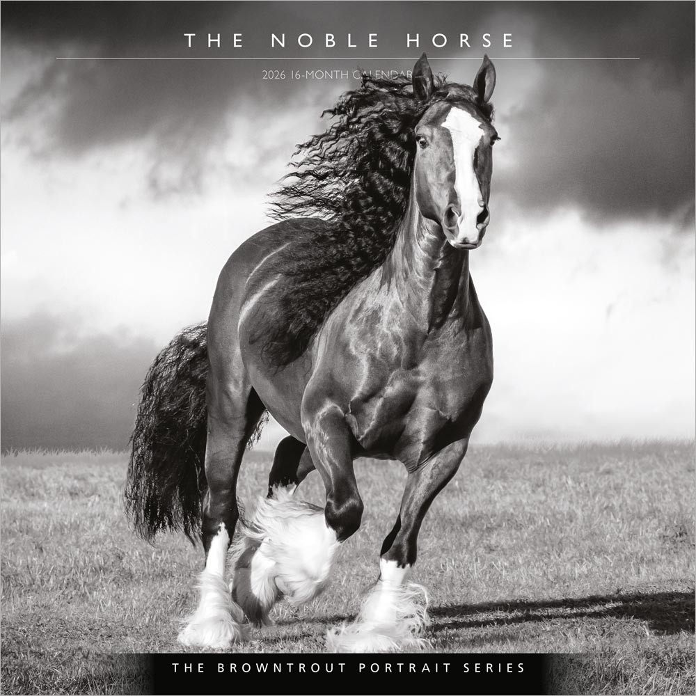 The BrownTrout Portrait Series: The Noble Horse | 2026 12 x 24 Inch (Hanging) Monthly Square Wall Calendar