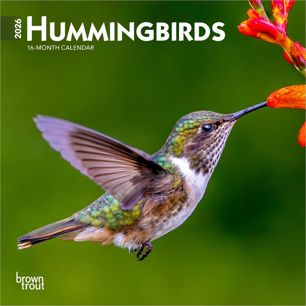 Hummingbirds | 2026 7 x 14 Inch (Hanging) Monthly Mini Wall Calendar