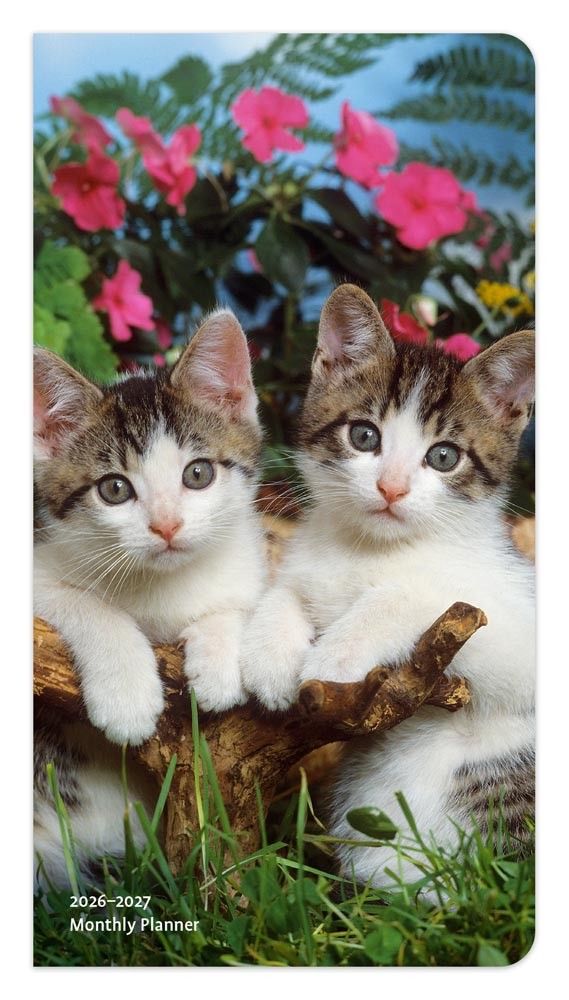 Kitten Cuddles | 2026-2027 3.5 x 6.5 Inch Two Year Monthly Pocket Planner Calendar