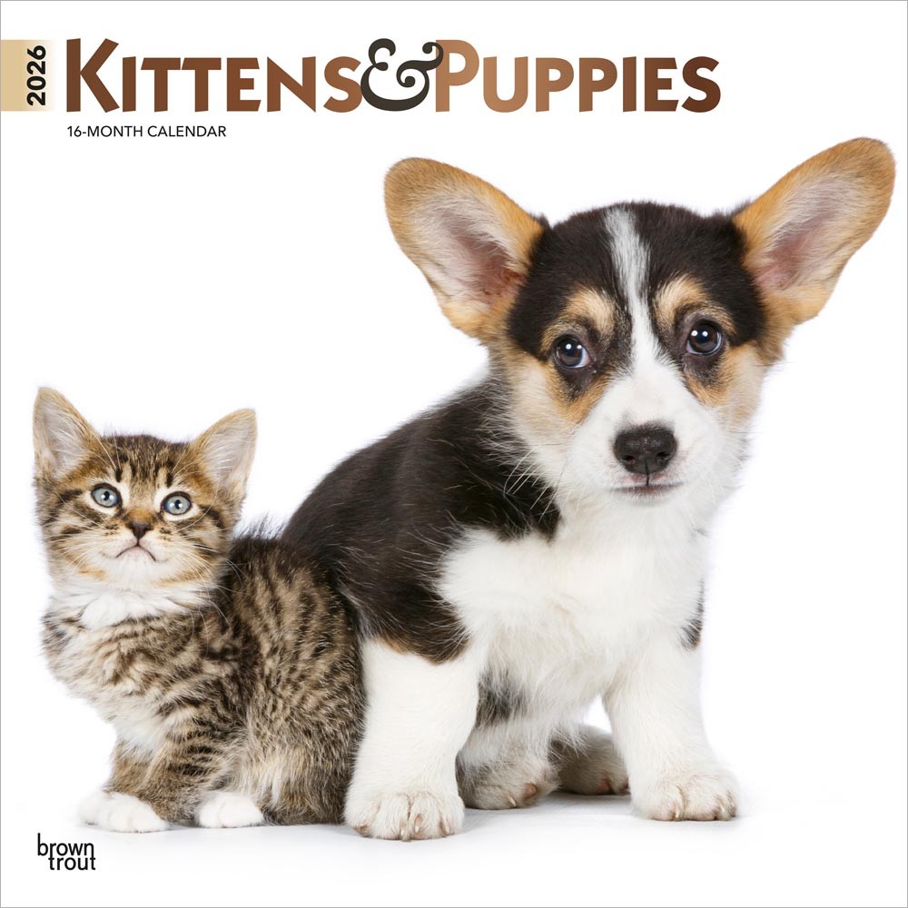 Kittens & Puppies | 2026 12 x 24 Inch (Hanging) Monthly Square Wall Calendar | Foil Stamped Cover