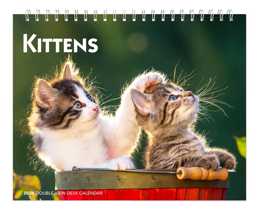 Kittens | 2026 7.5 x 6 Inch Monthly Double-View Easel Desk Calendar