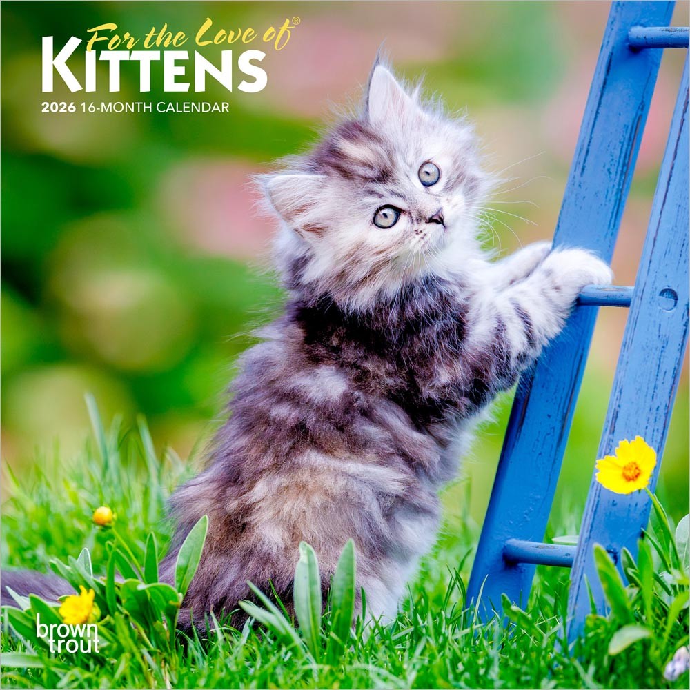 For the Love of Kittens | 2026 7 x 14 Inch (Hanging) Monthly Mini Wall Calendar