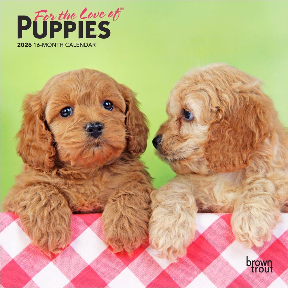 For the Love of Puppies | 2026 7 x 14 Inch (Hanging) Monthly Mini Wall Calendar