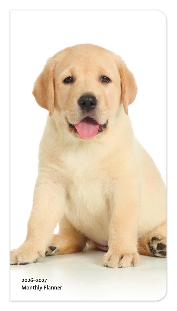 I Love Puppies | 2026-2027 3.5 x 6.5 Inch Two Year Monthly Pocket Planner Calendar