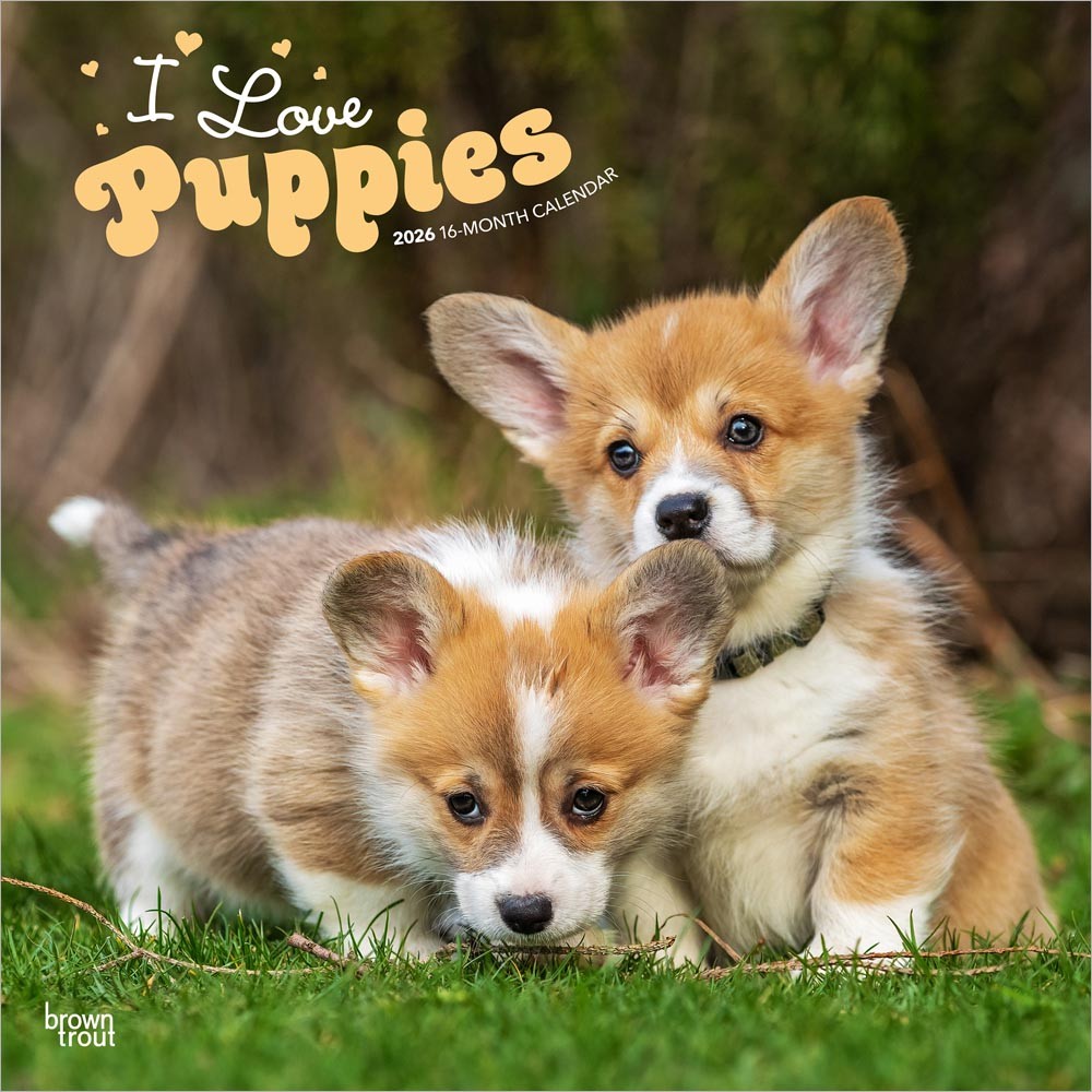 I Love Puppies | 2026 12 x 24 Inch (Hanging) Monthly Square Wall Calendar
