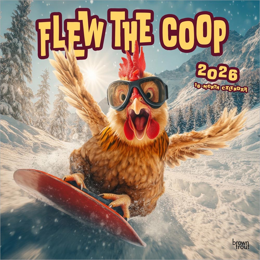 Flew the Coop | 2026 12 x 24 Inch (Hanging) Monthly Square Wall Calendar