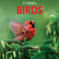 Canadian Geographic Birds | 2024 12 x 24 Inch Monthly Square Wall Calendar