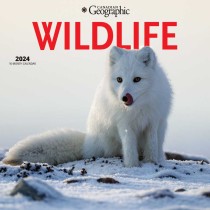 Canadian Geographic Wildlife | 2024 12 x 24 Inch Monthly Square Wall Calendar