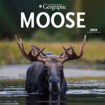 Canadian Geographic Moose OFFICIAL | 2025 12 x 24 Inch Monthly Square Wall Calendar | Plastic-Free