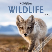 Canadian Geographic Wildlife OFFICIAL | 2025 12 x 24 Inch Monthly Square Wall Calendar | Plastic-Free
