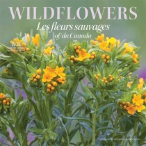 Wildflowers of Canada | Les fleurs sauvages du Canada | 2025 12 x 24 Inch Monthly Square Wall Calendar | English/French Bilingual