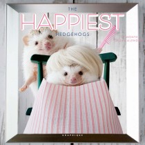 The Happiest Hedgehogs  | 2024 7 x 14 Inch Monthly Mini Wall Calendar