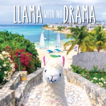Llama with no Drama | 2024 12 x 24 Inch Monthly Square Wall Calendar