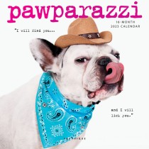 Pawparazzi | 2025 7 x 14 Inch Monthly Mini Wall Calendar