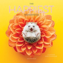 The Happiest Hedgehogs | 2025 7 x 14 Inch Monthly Mini Wall Calendar