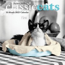Classic Cats | 2025 12 x 24 Inch Monthly Square Wall Calendar