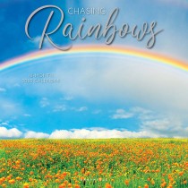 Chasing Rainbows | 2025 12 x 24 Inch Monthly Square Wall Calendar