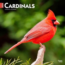Cardinals | 2024 12 x 24 Inch Monthly Square Wall Calendar