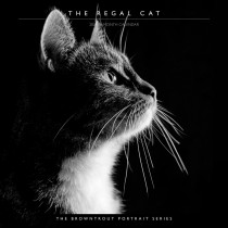 The BrownTrout Portrait Series: The Regal Cat | 2024 12 x 24 Inch Monthly Square Wall Calendar