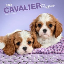 Cavalier King Charles Spaniel Puppies | 2024 12 x 24 Inch Monthly Square Wall Calendar