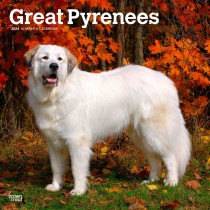 Great Pyrenees | 2024 12 x 24 Inch Monthly Square Wall Calendar