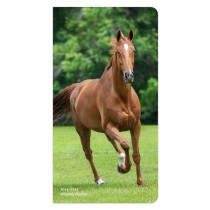 Horse Lovers | 2024-2025 3.5 x 6.5 Inch Two Year Monthly Pocket Planner