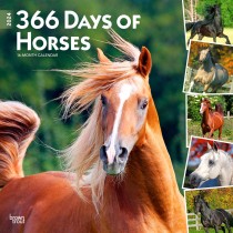366 Days of Horses | 2024 12 x 24 Inch Monthly Square Wall Calendar