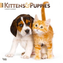 Kittens & Puppies | 2024 12 x 24 Inch Monthly Square Wall Calendar | Foil Stamped Cover