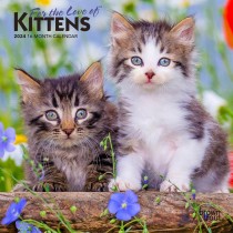 For the Love of Kittens | 2024 7 x 14 Inch Monthly Mini Wall Calendar