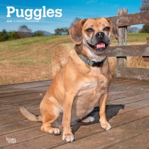 Puggles | 2024 12 x 24 Inch Monthly Square Wall Calendar