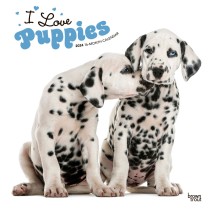 I Love Puppies | 2024 12 x 24 Inch Monthly Square Wall Calendar